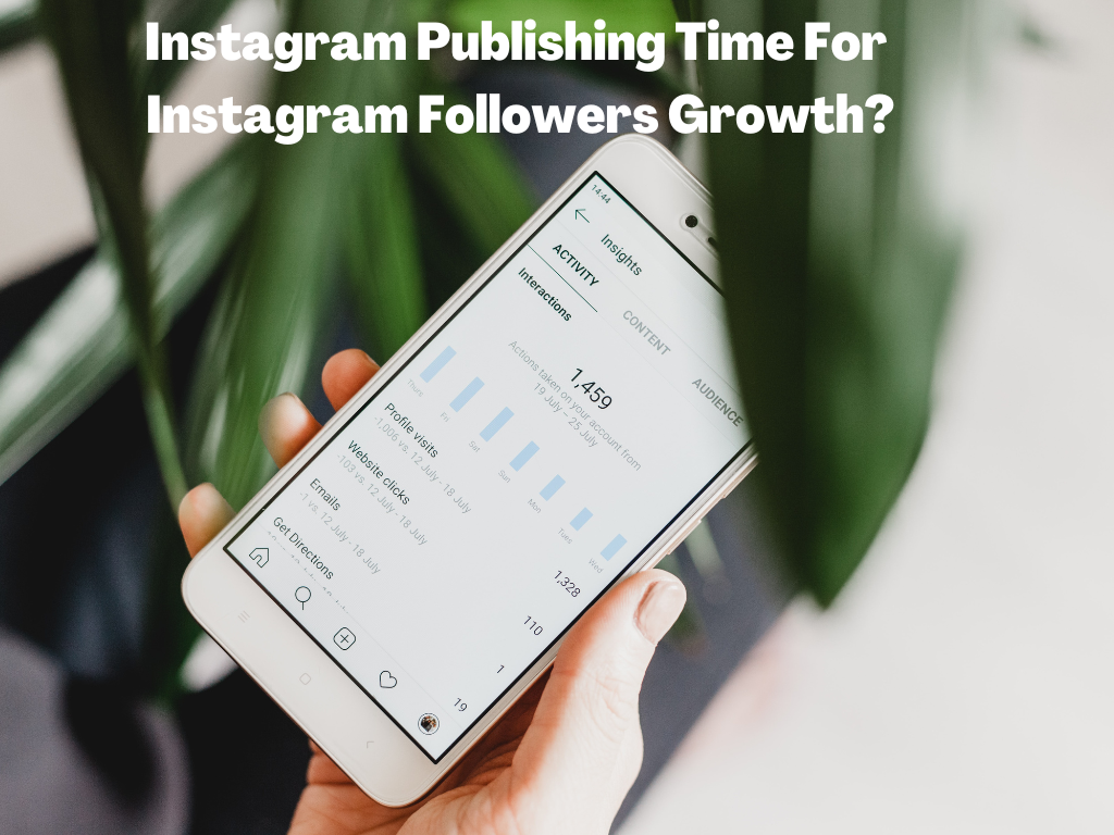 Instagram Followers Growth