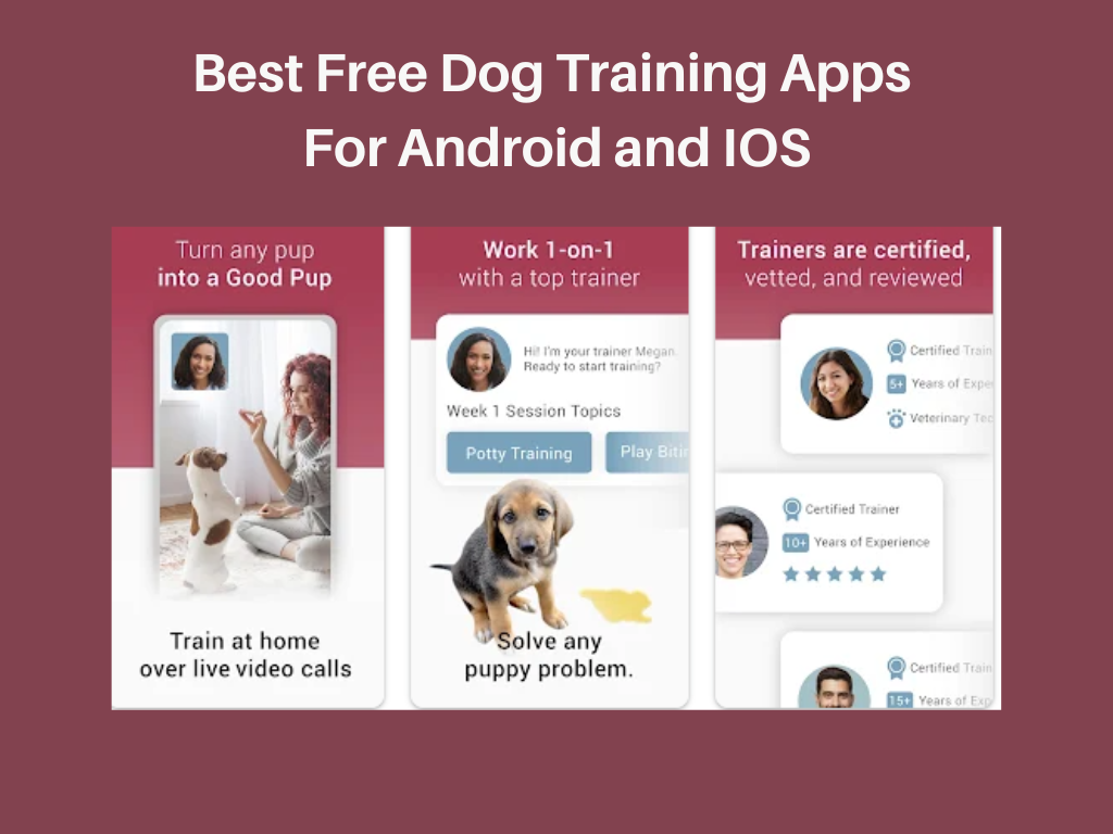 Best Dog Training Apps